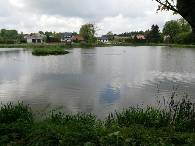 Działka Sprzedaż Klementowice 10