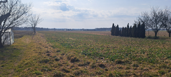 Działka Sprzedaż Radawiec Mały 1