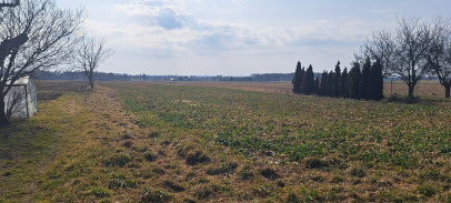 Działka Sprzedaż Radawiec Mały