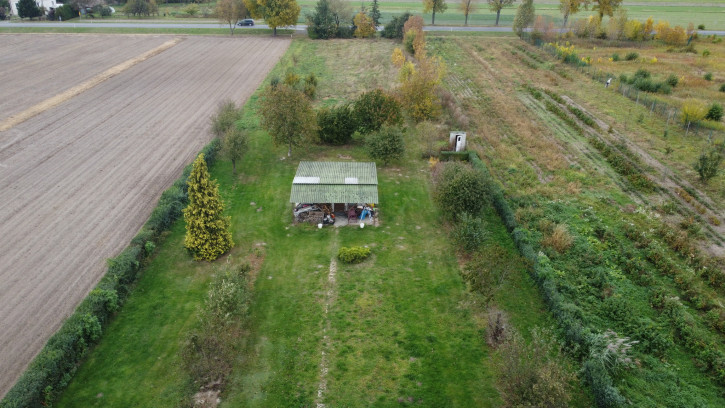 Dom Sprzedaż Leokadiów 16