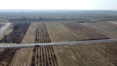 Działka Sprzedaż Końskowola