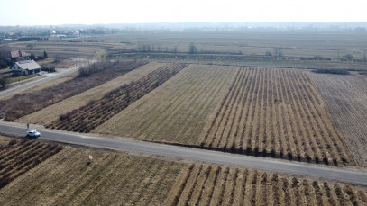 Działka Sprzedaż Końskowola