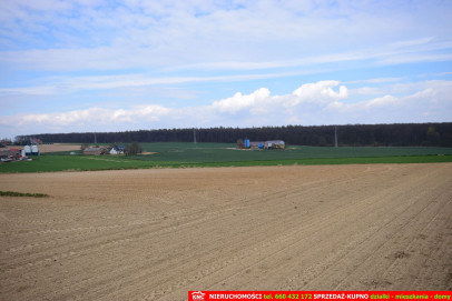 Działka Sprzedaż Zemborzyce Podleśne
