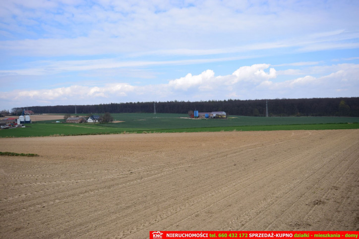 Działka Sprzedaż Zemborzyce Podleśne 9
