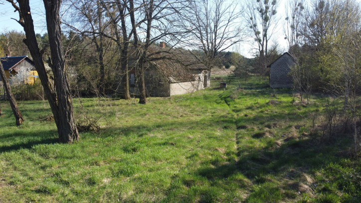 Dom Sprzedaż Borowiec 11