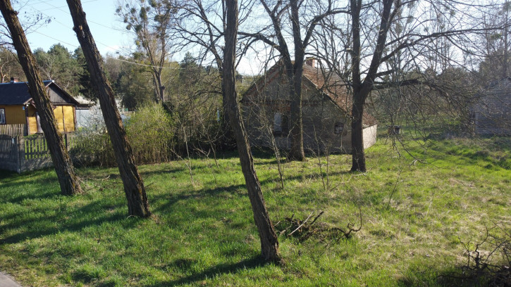 Dom Sprzedaż Borowiec 13