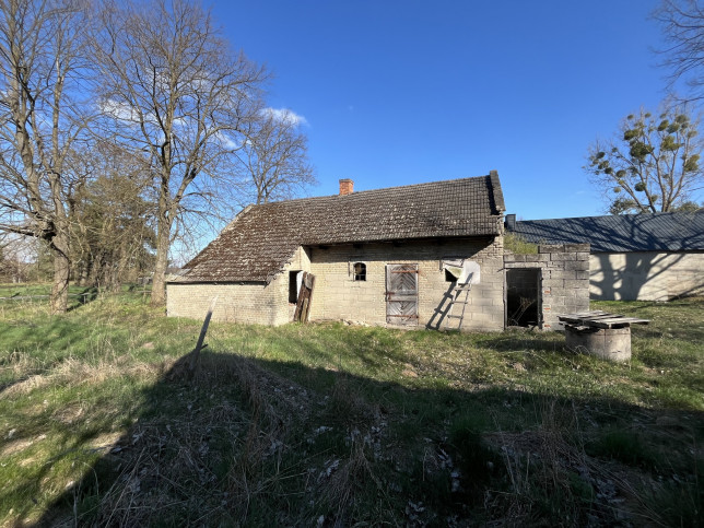 Dom Sprzedaż Borowiec 5