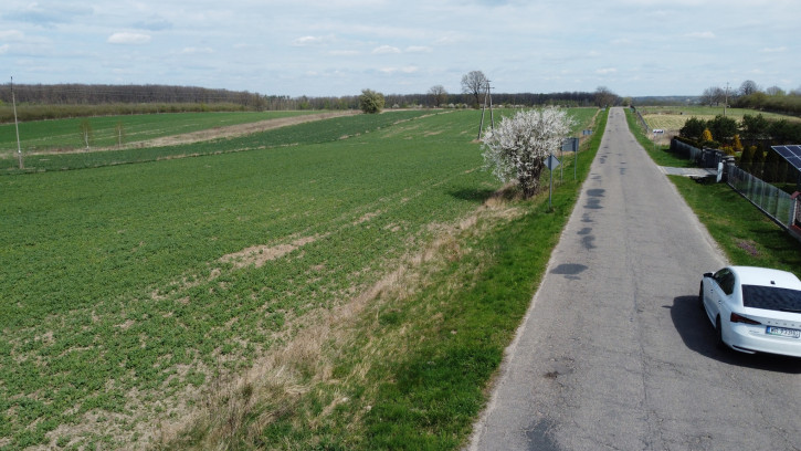 Działka Sprzedaż Wojszyn 4