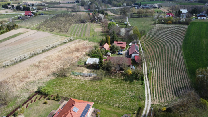 Dom Sprzedaż Skowieszynek 4