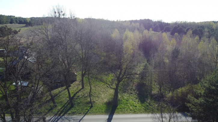 Działka Sprzedaż Borowiec 3