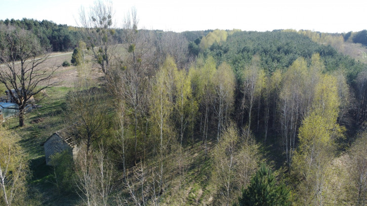 Działka Sprzedaż Borowiec 6