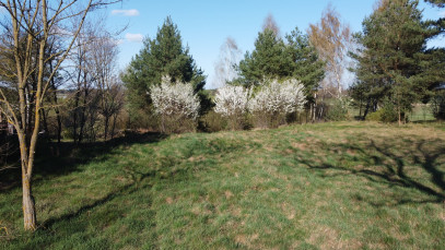 Działka Sprzedaż Borowiec