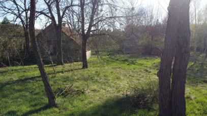 Działka Sprzedaż Borowiec