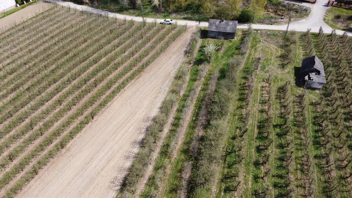 Dom Sprzedaż Zakrzów 18