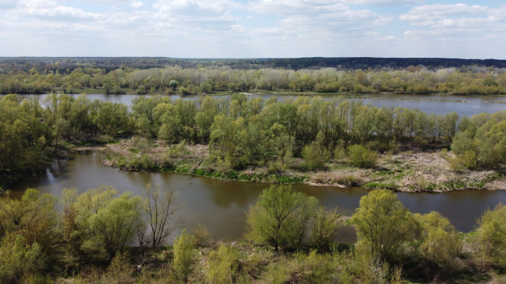Dom Sprzedaż Zakrzów 5