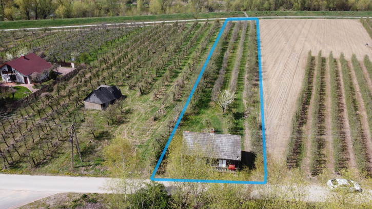 Dom Sprzedaż Zakrzów 1