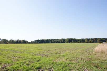Działka Sprzedaż Krasne