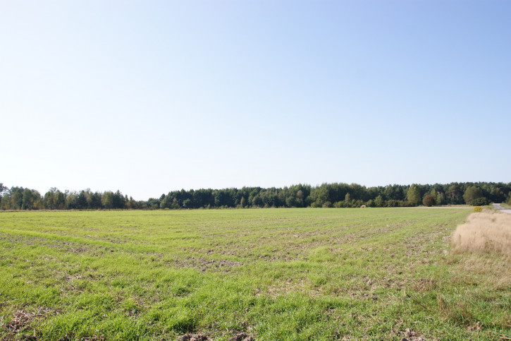 Działka Sprzedaż Krasne 5