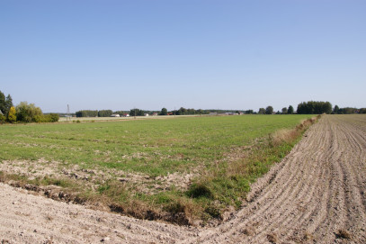 Działka Sprzedaż Krasne