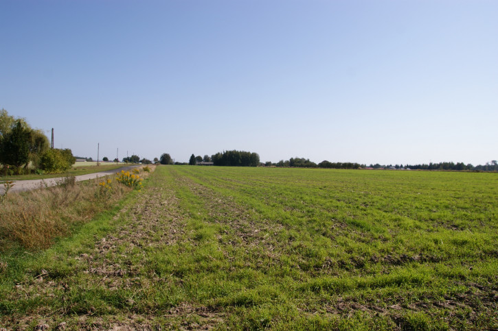 Działka Sprzedaż Krasne 12