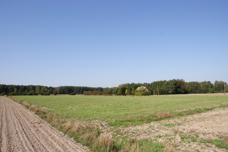 Działka Sprzedaż Krasne 15