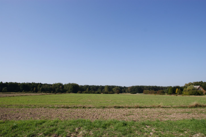 Działka Sprzedaż Krasne 16