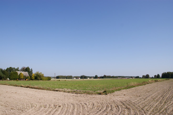 Działka Sprzedaż Krasne 17