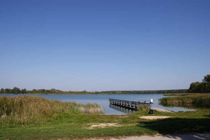 Działka Sprzedaż Krasne 18