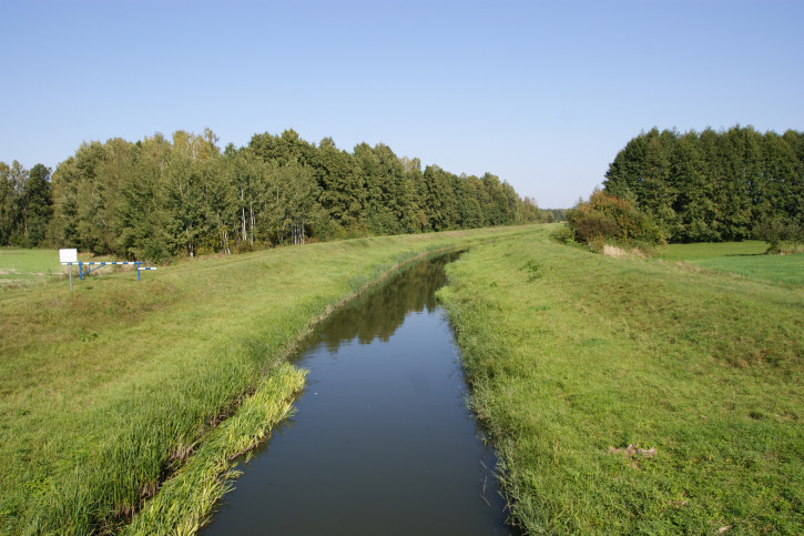Działka Sprzedaż Krasne 19