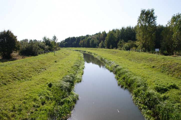 Działka Sprzedaż Krasne 20