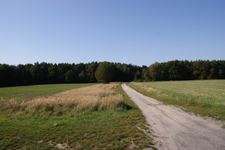 Działka Sprzedaż Krasne 23
