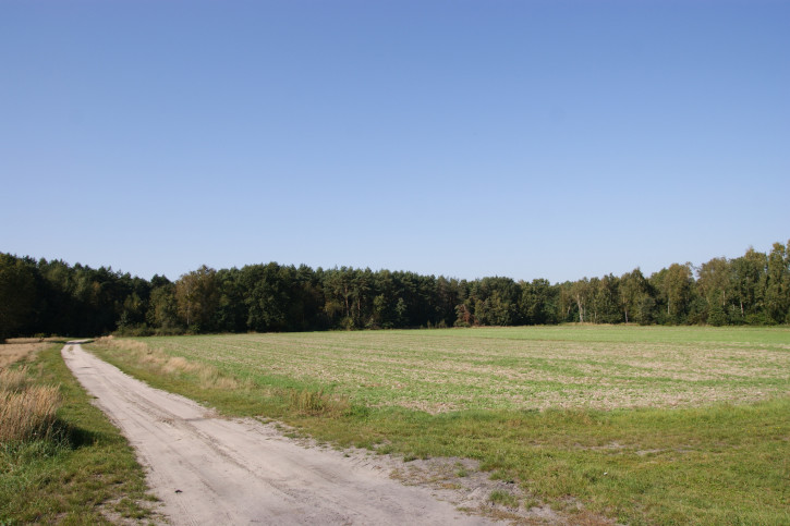 Działka Sprzedaż Krasne 10
