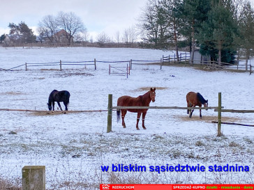 Dom Sprzedaż Siedliska Pierwsze