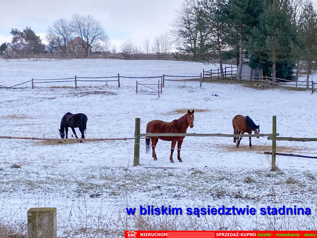 Dom Sprzedaż Siedliska Pierwsze 9