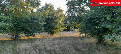 Działka Sprzedaż Lublin Głusk