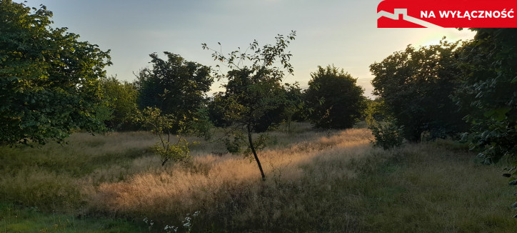 Działka Sprzedaż Lublin Głusk 3