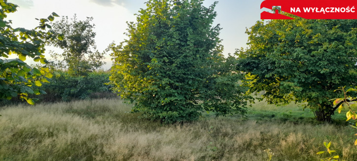 Działka Sprzedaż Lublin Głusk 5