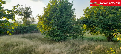 Działka Sprzedaż Lublin Głusk