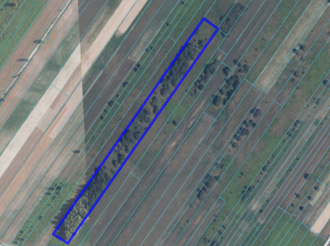 Działka Sprzedaż Wólka Rokicka-Kolonia 1