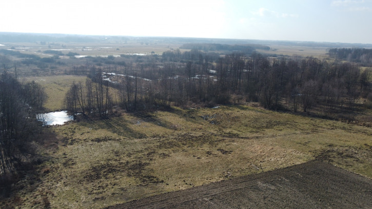 Działka Sprzedaż Żminne 3