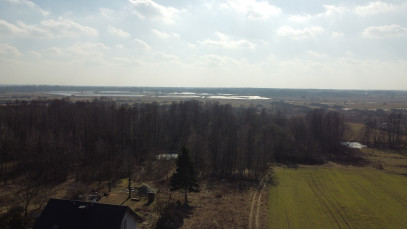 Działka Sprzedaż Żminne