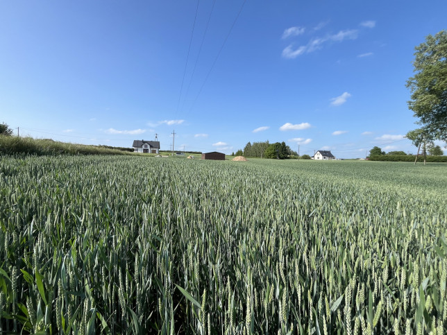 Działka Sprzedaż Jastków 1