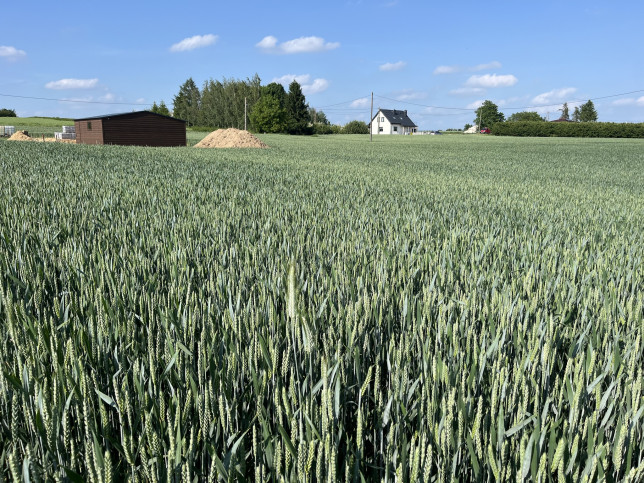 Działka Sprzedaż Jastków 2