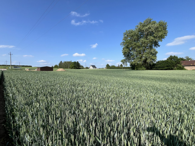 Działka Sprzedaż Jastków 3