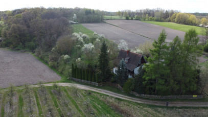 Dom Sprzedaż Boiska-Kolonia
