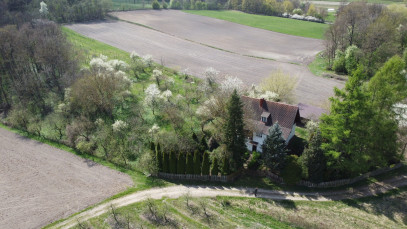 Dom Sprzedaż Boiska-Kolonia