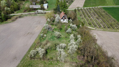 Dom Sprzedaż Boiska-Kolonia
