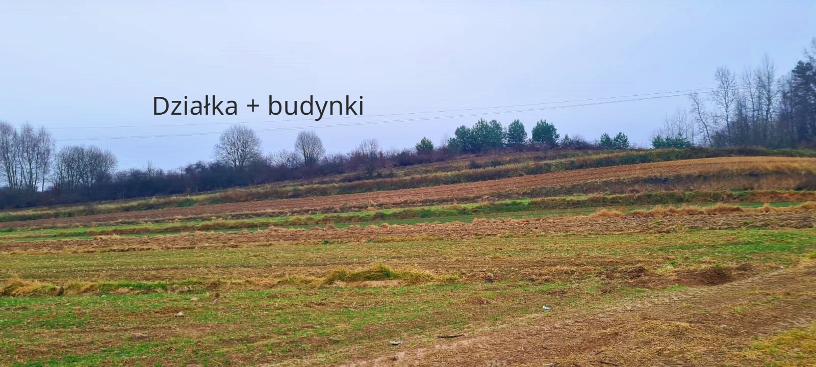 Działka Sprzedaż Wysokie