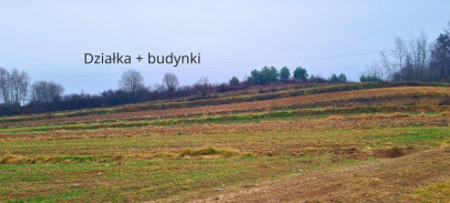 Działka Sprzedaż Wysokie