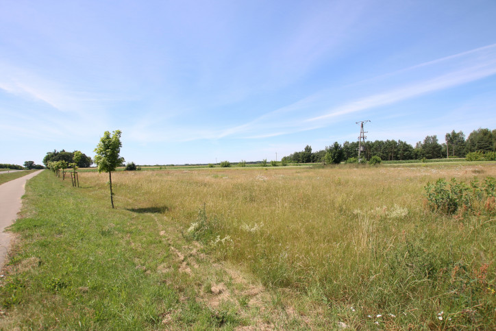 Działka Sprzedaż Pałecznica-Kolonia 5
